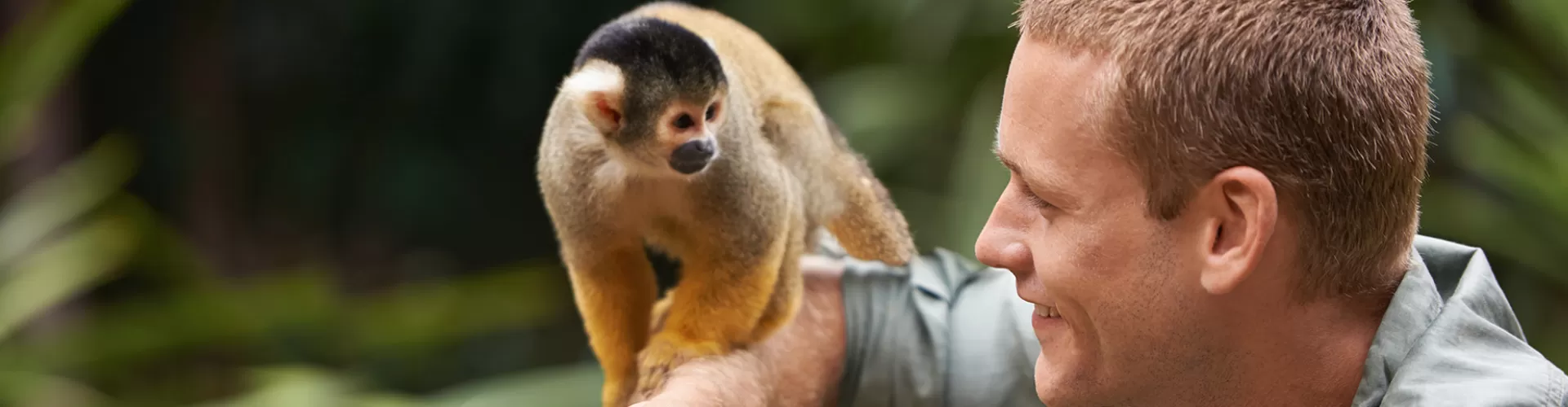 Animal behavior