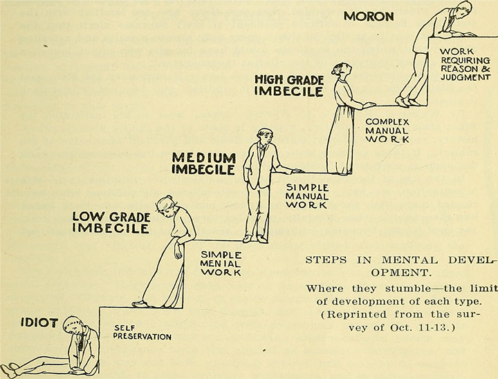 Study of the feeble minded