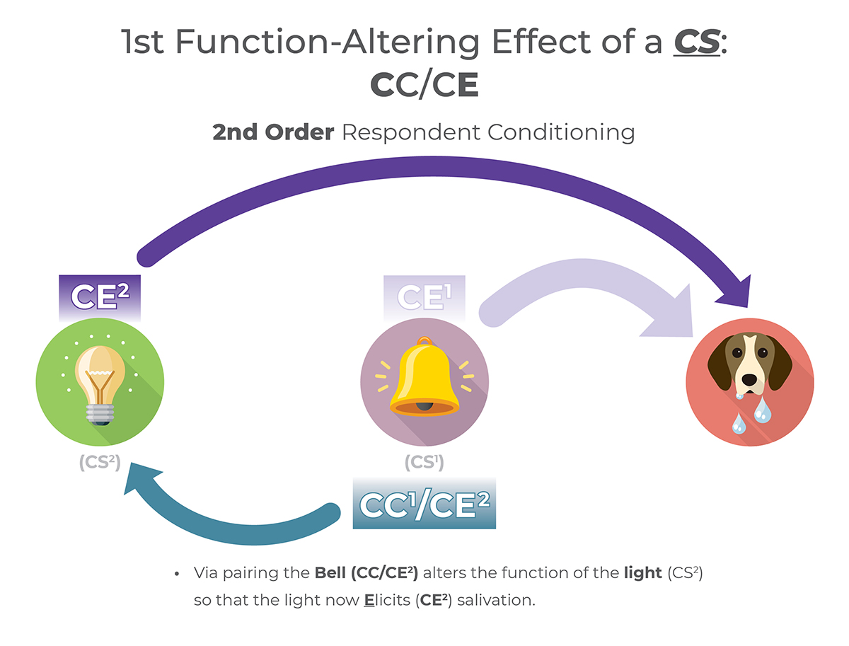 1st Function-Altering the effects of a CS:CC/CE