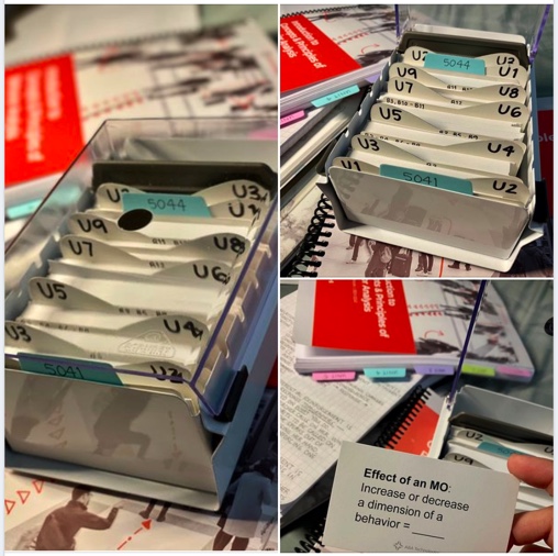 Organized safmeds cards, image submitted by student