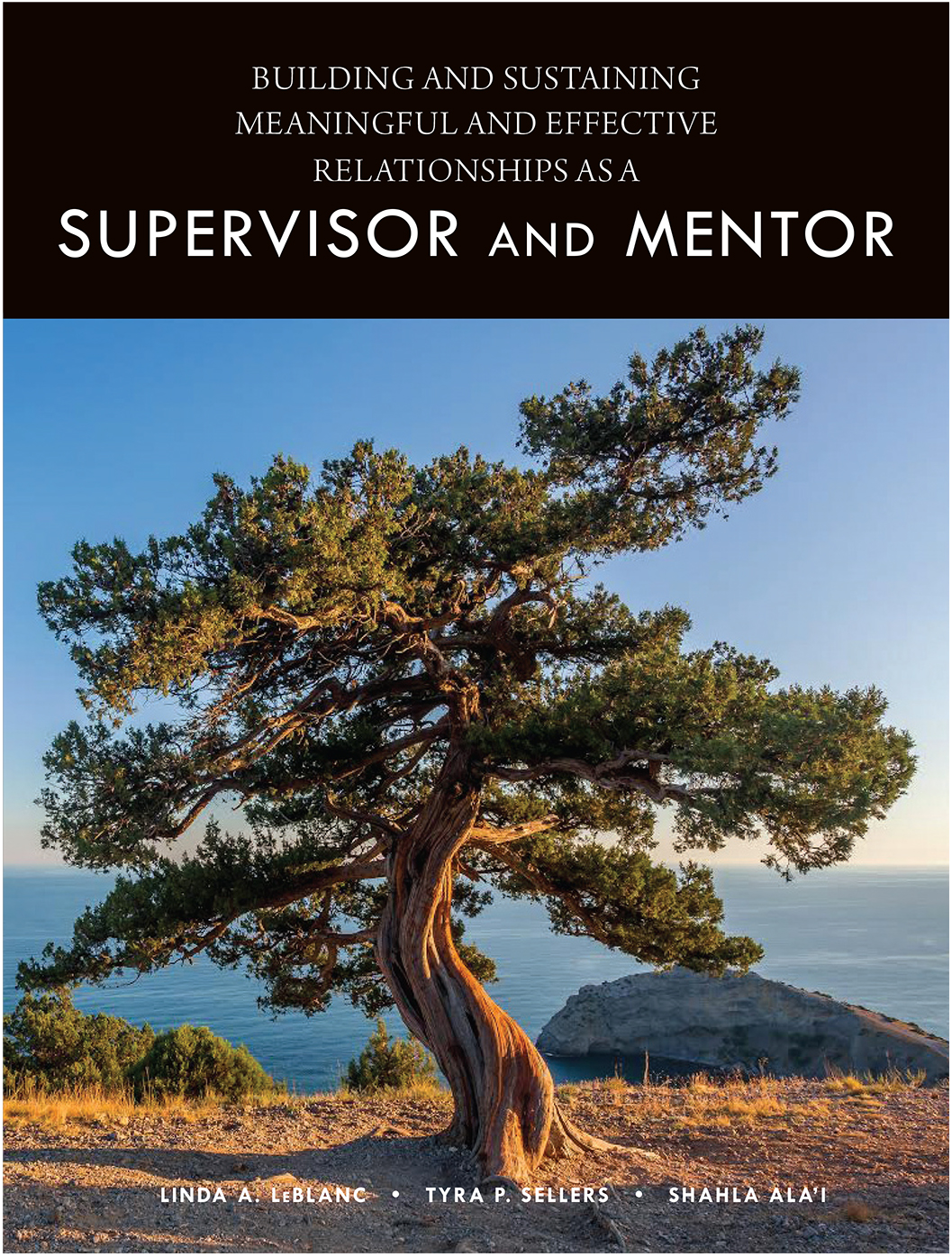 Supervisor and mentor book cover