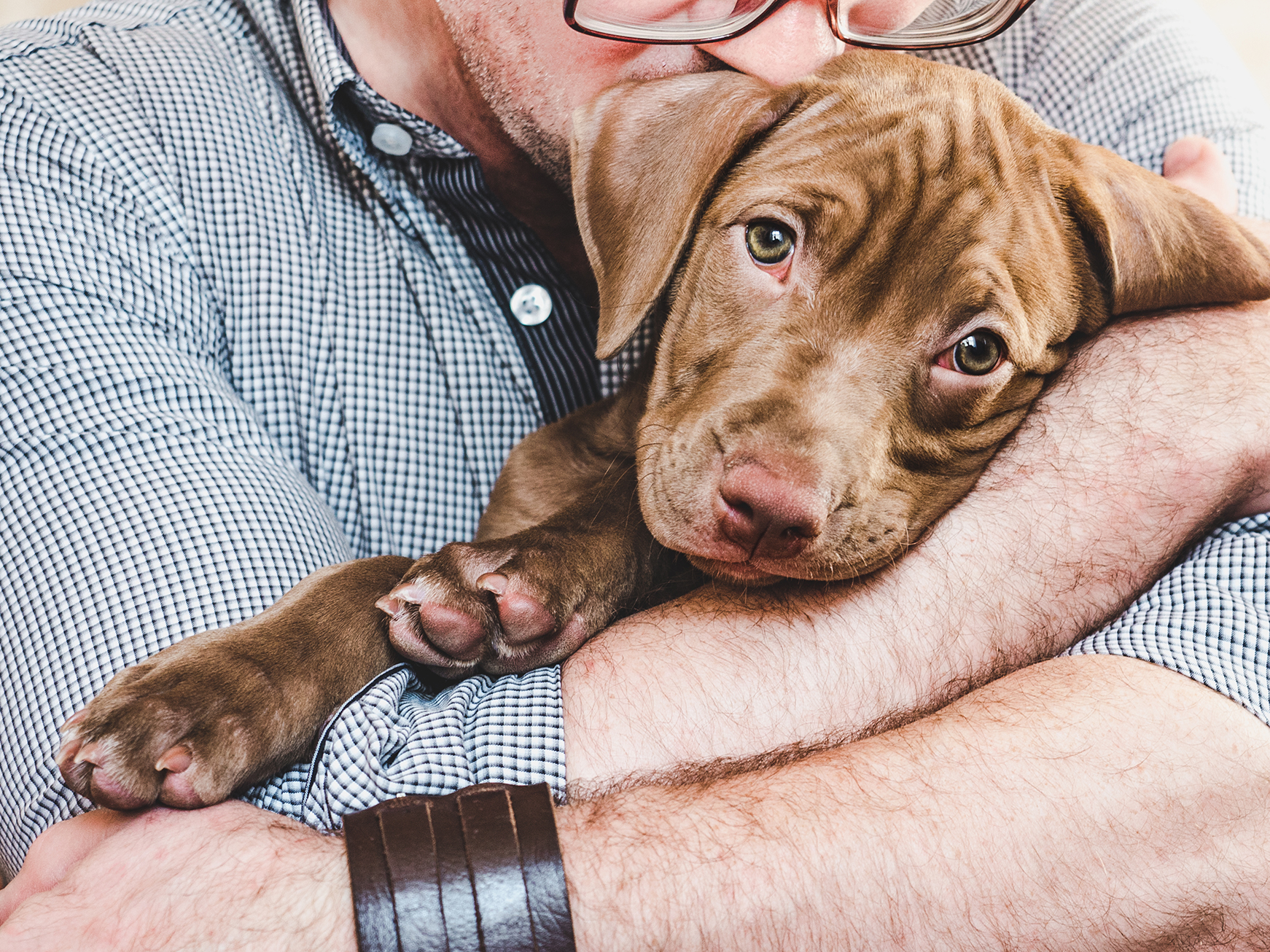 Man hugging a puppy