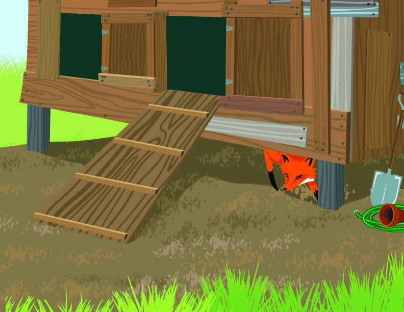 Fox Under Henhouse