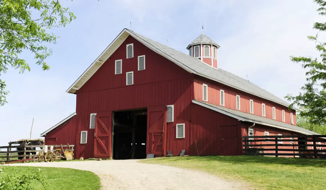 Catch Up Contingencies Barn