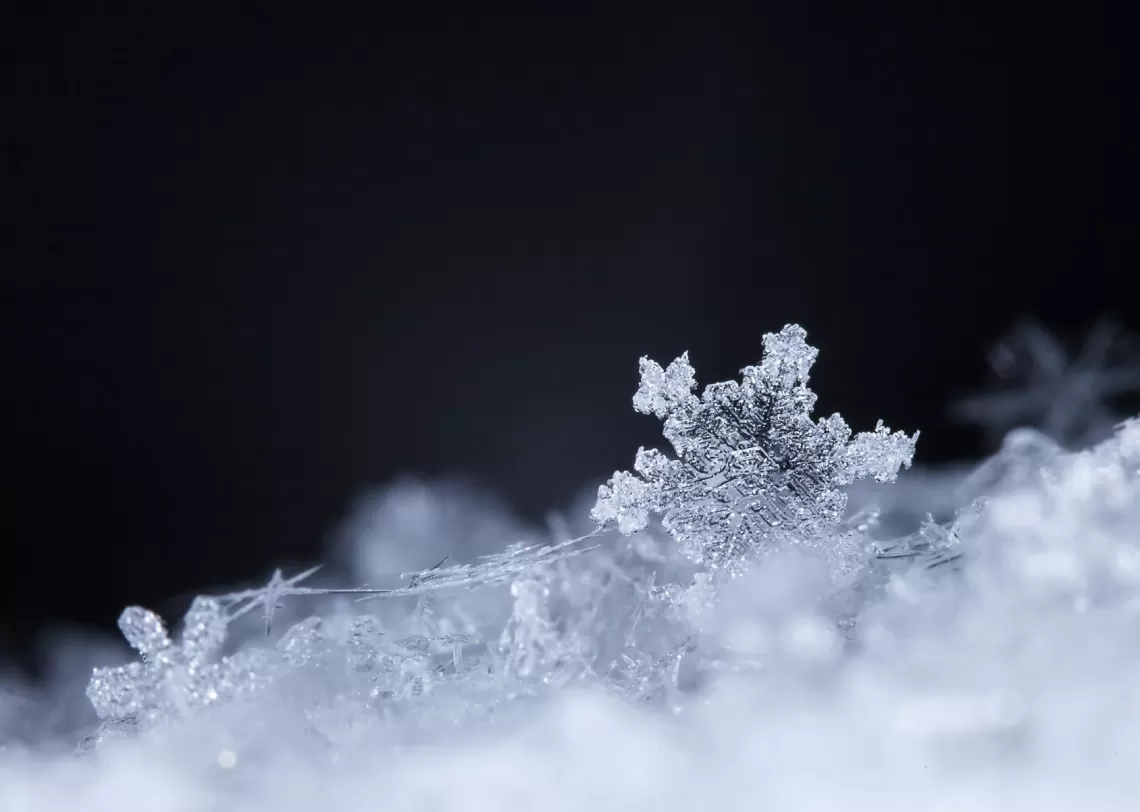 close up image of snowflakes