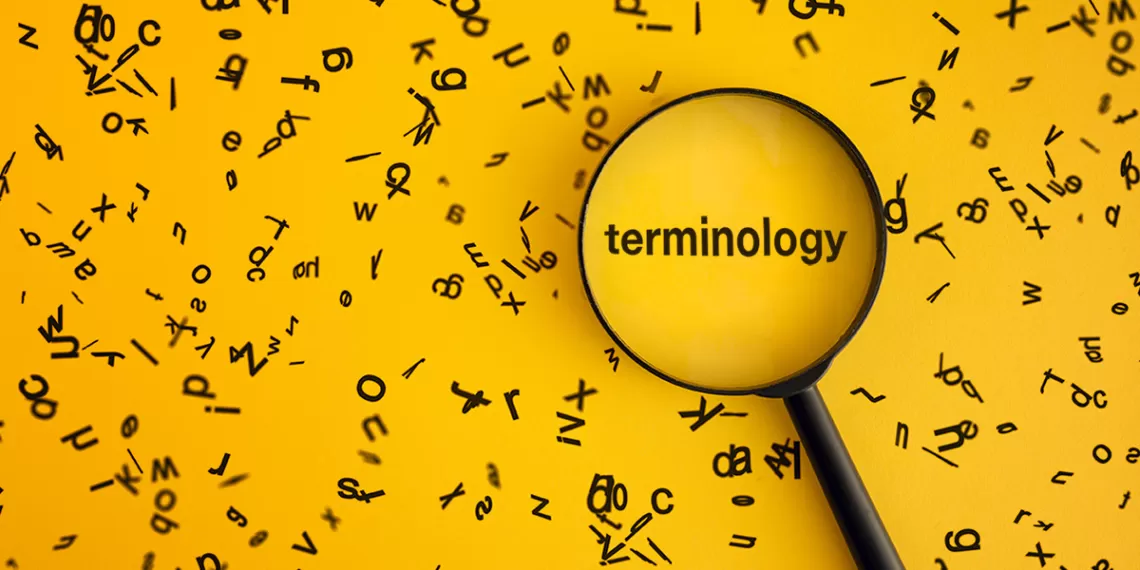 Terminology with looking glass