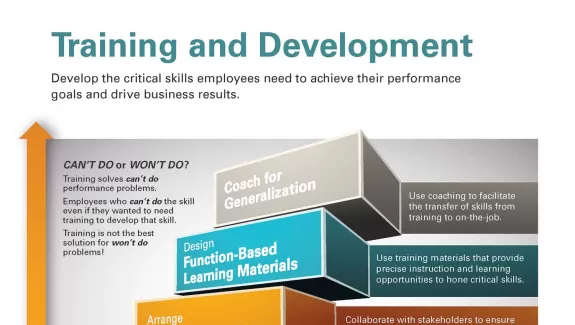 Infographic about Training and Development