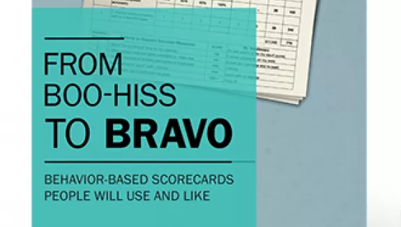 From Boo-Hiss to Bravo book by Janis Allen technical editor Allison King