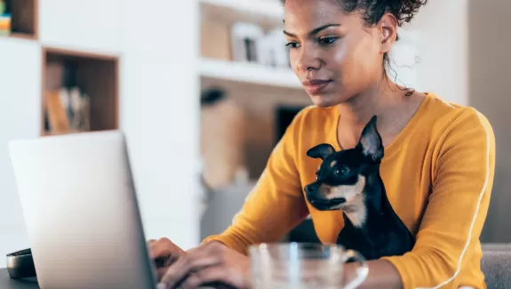 A woman and her small dog working on a laptop together.
