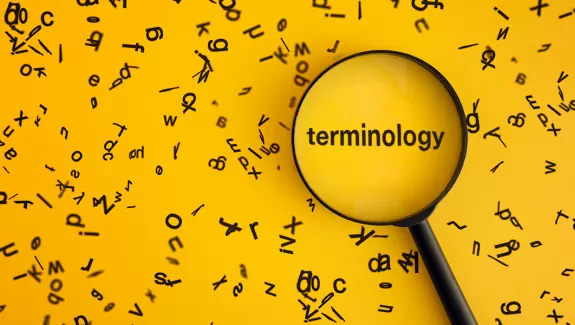 Terminology with looking glass