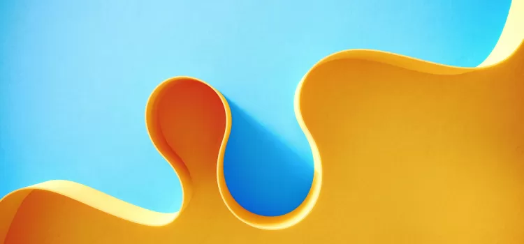 Understanding the Split: BACB Standards & TCO Transformation