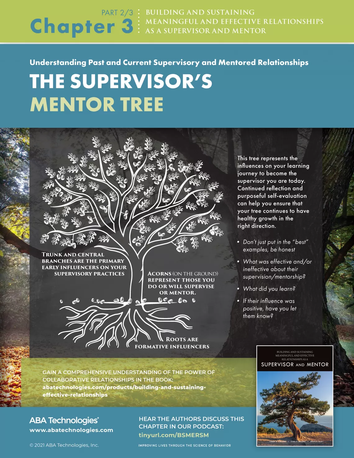 Building and Sustaining Relationships Supervisor Mentor chapter 3 part 3/3 infographic 