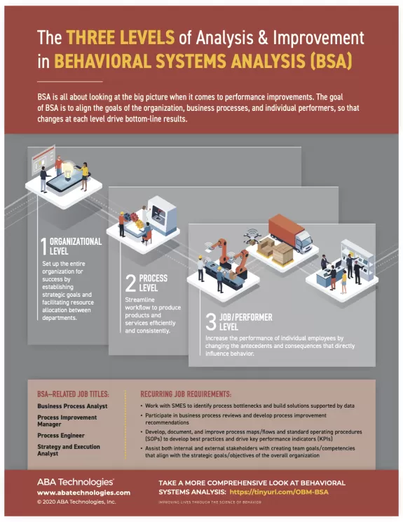 Behavior Systems Analysis Infographic