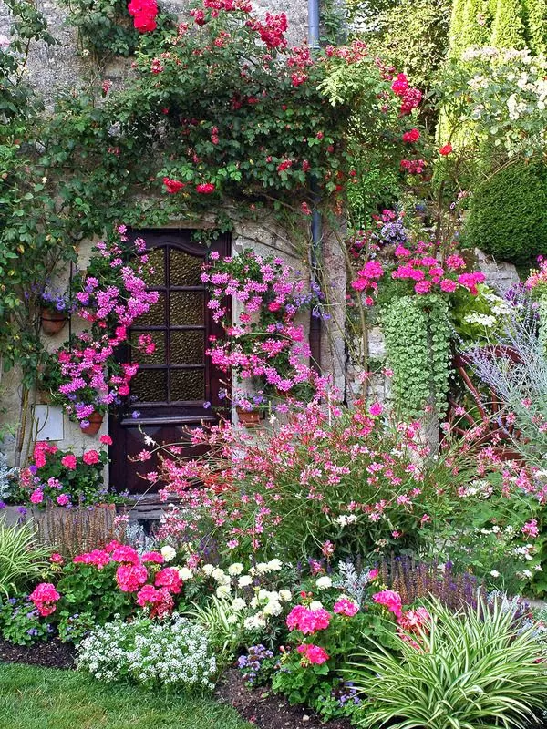 Flowers growing around a door