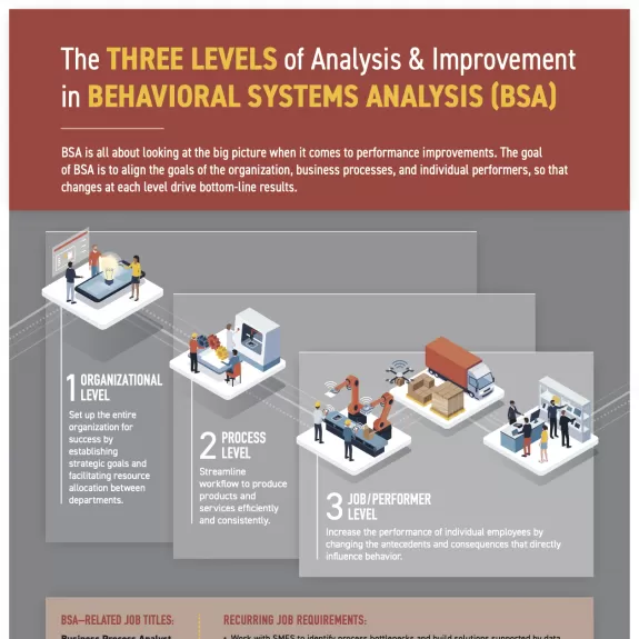 Behavior Systems Analysis Infographic