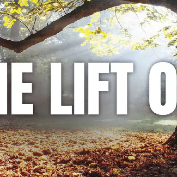 The Lift 17